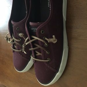 Sperry Slip On Sneakers (Wine color)